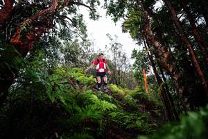 BIB: 
                            <button type="button" onclick="openModal(26203686)" class="btn btn-primary btn-sm float-right btn-popup" data-toggle="modal" data-target=".modal-high-quality">
                        <i class="fas fa-shopping-cart"></i> Add to Cart
                    </button>
                                            <button type="button" onclick="isThisMe(26203686, true)" class="btn btn-success btn-sm float-right btn-popup btn-isme hidden" data-toggle="tooltip" data-placement="bottom" title="นี่คือรูปของคุณใช่ไหม คลิกที่นี่เพื่อเอาเข้าอัลบั้ม">
                        <i class="fas fa-plus"></i> Add to album
                    </button>
                    <button type="button" onclick="isThisMe(26203686, false)" class="btn btn-warning btn-sm float-right btn-popup btn-isnotme hidden">
                        <i class="fas fa-ban"></i> Remove from album
                    </button>